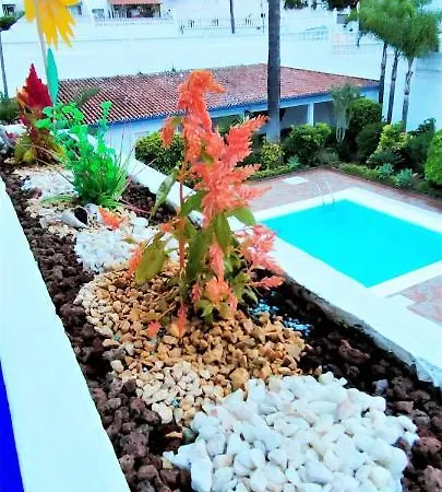 Apartamento Tropical Con Piscina Zona Taoro Puerto De La Cruz Apartment Puerto de la Cruz (Tenerife)