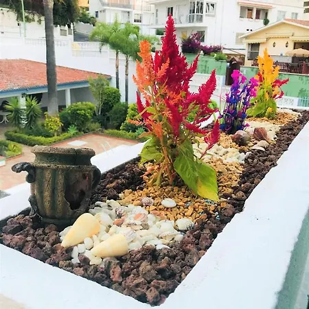Apartamento Tropical Con Piscina Zona Taoro Puerto De La Cruz * Puerto de la Cruz (Tenerife)