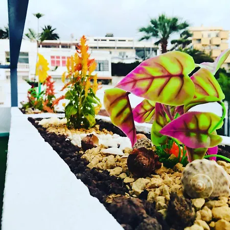 Apartamento Tropical Con Piscina Zona Taoro Puerto De La Cruz