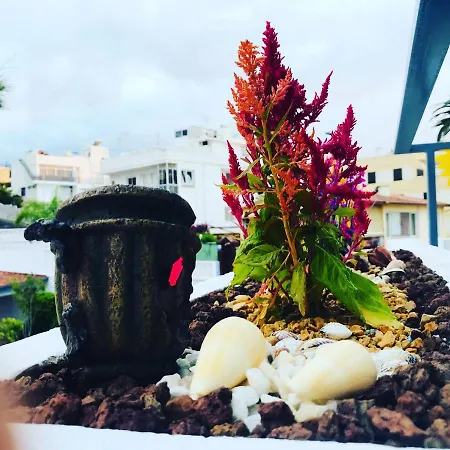 Apartamento Tropical Con Piscina Zona Taoro Puerto De La Cruz Lägenhet Puerto de la Cruz (Tenerife)